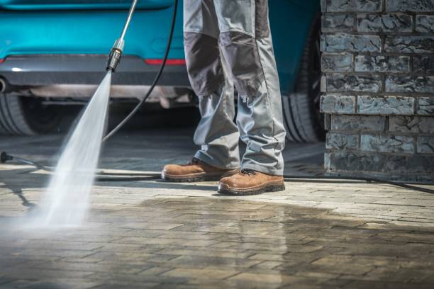 Best Boat and Dock Cleaning  in Oakwood Hls, IL